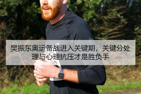 樊振东奥运备战进入关键期，关键分处理与心理抗压才是胜负手